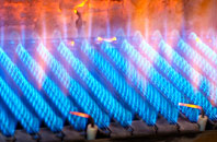 Oakley gas fired boilers